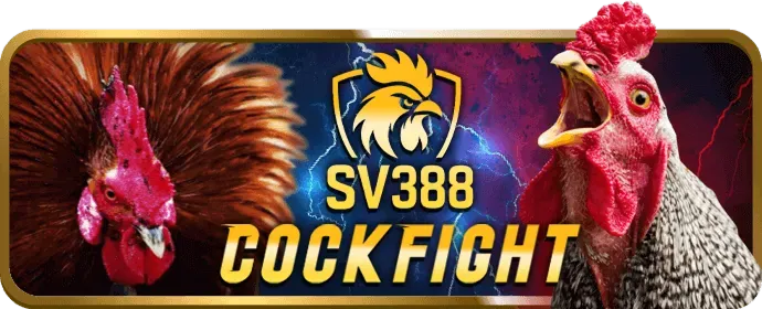 Ưu đãi độc quyền đá gà Star88